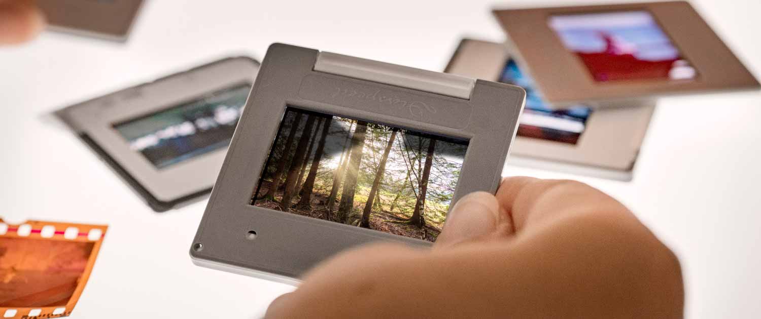 Kleinbilddia mit Waldmotiv wird für Flachbettscan vorbereitet